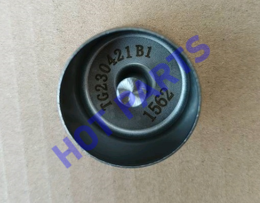 картинка ТОЛКАТЕЛЬ КЛАПАНА 15.62mm  1030037900