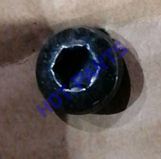картинка SCREW  1056026100