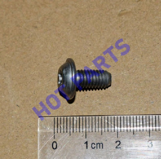 картинка SCREW, INNER, TORX, FLAT  204000246AA