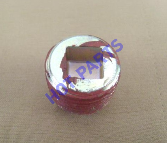 OIL DRAIN PLUG