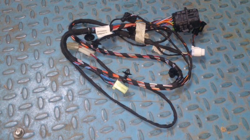 картинка ЖГУТ ПРОВОДОВ ПЕРЕДНЕЙ ПРАВОЙ ДВЕРИ M2 BRILLIANCE  3083733
