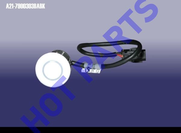 картинка PROBE RR  A21-7900303BABK
