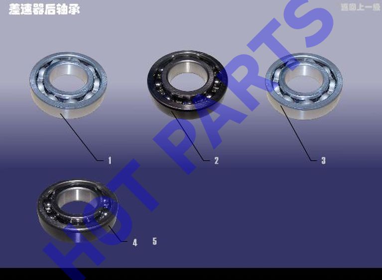 RR OIL SEAL-DIFFERENTIA