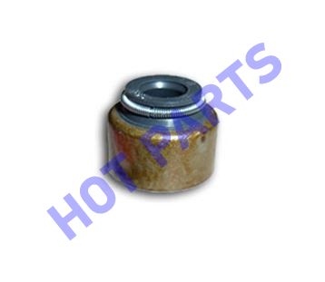 картинка КОЛПАЧОК МАСЛОСЪЕМНЫЙ ВПУСКНОЙ GL OTAKA, MK, МК CROSS -- не разобрано 2 E010510005