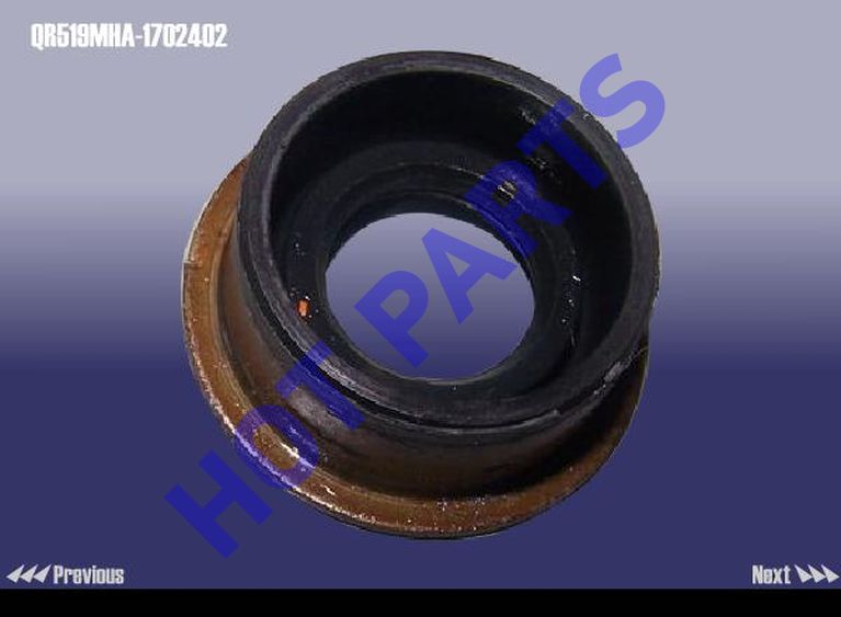 картинка САЛЬНИК ШТОКА КПП FORA, M11, M12; VORTEX ESTINA  QR519MHA-1702402